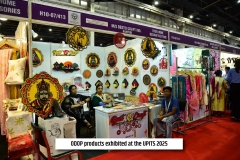 Image-33